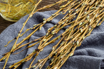 White willow branches collected in early spring