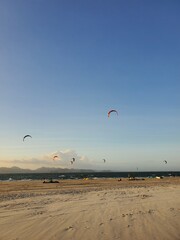 kite on the beach