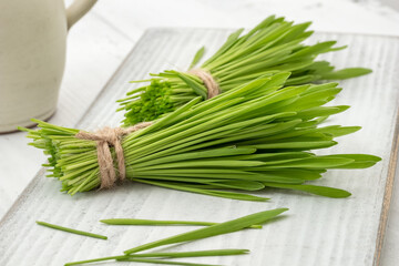 Freshly grown barley grass on a white table