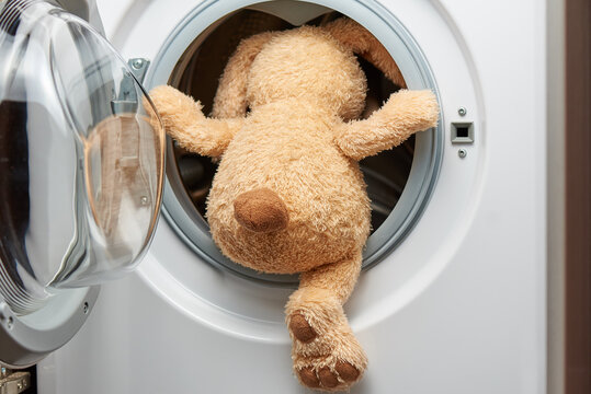 Stuffed toy rabbit with his back in the washing machine.