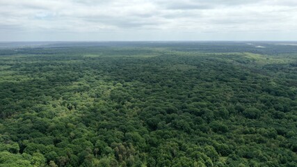 Obraz premium survol de la forêt de Rambouillet près de Versailles