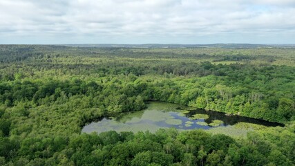 survol de la for&ecirc;t de Rambouillet pr&egrave;s de Versailles