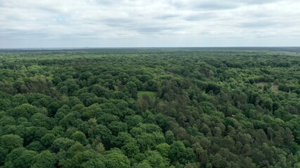 Fototapeta premium forêt de Rambouillet vue du ciel