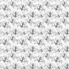 Seamless Lily pattern on white background, hand drawn illustration. Ideal for business cards, wedding printing, printing on Wallpaper.