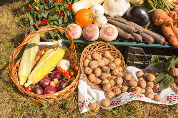 Harvest of Organic and Local Vegetable and Walnuts on Display on Show at the End of Summer