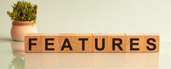 Features - word on wooden cubes and flower in a pot. Financial concept. Front view.