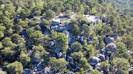 For&ecirc;t de Fontainebleau, vue du ciel (&icirc;le-de-France)