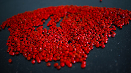 Red sandalwood (Adenanthera pavonina) seeds isolated on a black background. Manchadi, Manjadi, Manjetti, Peacock flower fence, Acacia Coral, Anikundumani, Bandi guruvenda, Barbados pride, Barricarri.