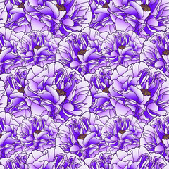 Vector illustration. Hand drawing peony. Seamless background. Large purple flower. Isolated on white. Botanical illustration.
