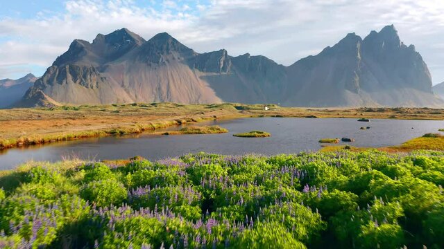 4k drone forward video (Ultra High Definition). Colorful morning scene of Stokksnes cape with Vestrahorn (Batman Mountain) on background. Stunning summer scene of Iceland.