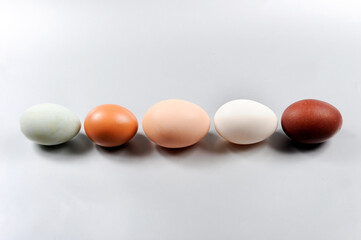 eggs, different colors of egg on white background from top