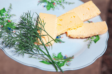 cheese with dill ,fresh and healthy snack 