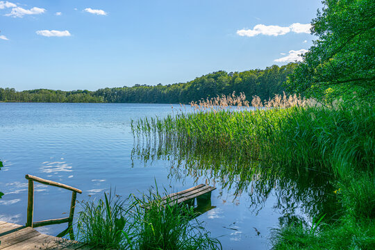 Brandenburg, Eiserbuder See, Barnim Feriengebiet Brandenburger Land Barnimer Landschaft Schorfheide, Baden gehen im Berliner Umland Urlaub in Brandenburg Urlaub in Deutschland Sommerferien, Seeufer 