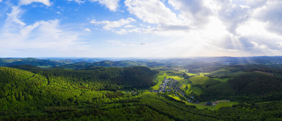 a forest landscape in the evening from above as high definition panorama