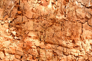 Background in the form of an old rotten tree trunk