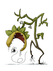 Fototapeta premium carnivorous plant walking behind a fly that is going to eat. funny illustration. isolated
