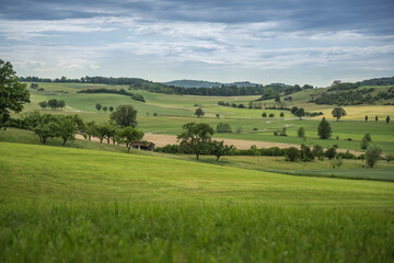 rural landscape with green grass and blue sky