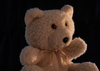 Close up of a teddy bear beautifully lit on black background. Rim light.