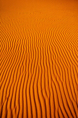 Sand dune waves in desert of sahara