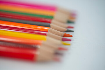 Fototapeta premium A group of pencils of assorted colours