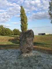 Gro&szlig;r&auml;schen