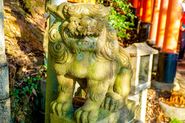 京都　伏見稲荷大社