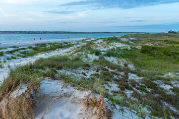 Grassy Dunes Overlooking Beach