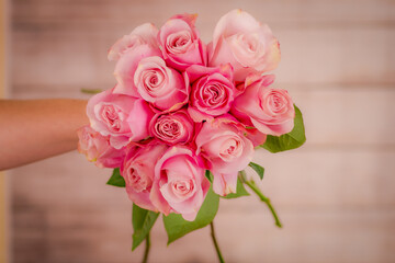 A hand holding a bouquet of secret garden roses variety, studio shot, pink flowers