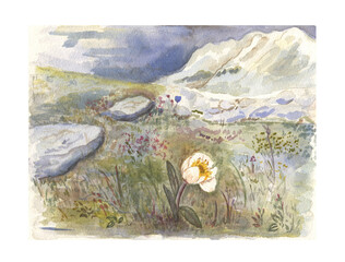 Small watercolor landscape with mountains, meadows and a shy white flower in the foreground. This landscape is from the Austrian Alps (Innsbruck, Tyrol). Great as a postcard.