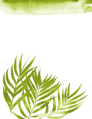 Summery soft green watercolor wash background with tropical foliage