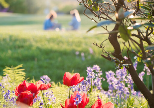 Girls having relaxing piknik on beautiful sunny day