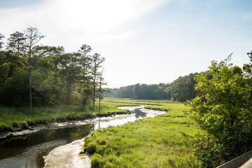tidal marsh junction breakwater trail
