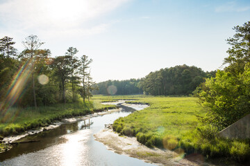 tidal marsh junction breakwater trail