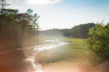 tidal marsh junction breakwater trail © Kathleen