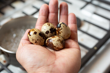 A view of a hand holding several whole quail eggs over a saucepan of boiling water on the stove top, in a kitchen setting.