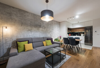 Interior of a modern open plan apartment