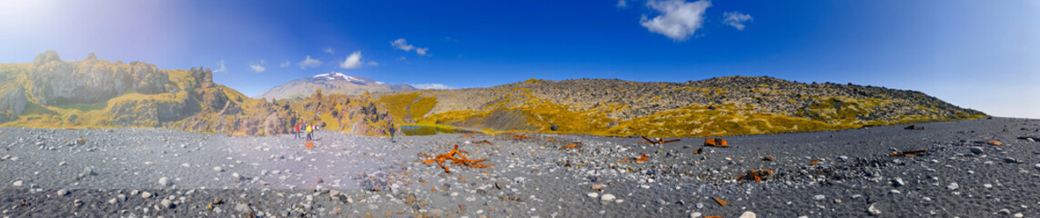 Djupalonssandur Black Beach, panoramic view, Iceland in summer season