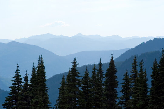 Snow Caped Mountains Of Hurricane Ridge In Olympic National Park, WA