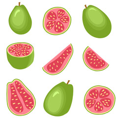Vector set of guava. Tropical exotic chopped and whole fruits. 
Isolated Psidium guajava