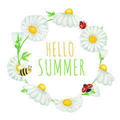 Hello SUMMER Watercolor daisy chamomile flower with fly ladybug, bee frame illustration. Hand drawn botanical herbs on white background. Chamomile white flowers, buds, banner
