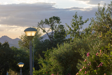 Perspective of street lamps in the park at sunset