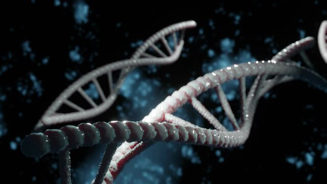 Abstract technological representation of DNA molecule of digital plexus on blue background. For biotechnology, chemistry, science, medicine and artificial intelligence. Rotating DNA Strand. 3d render.
