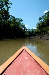 beautiful landscape in the amazon river

