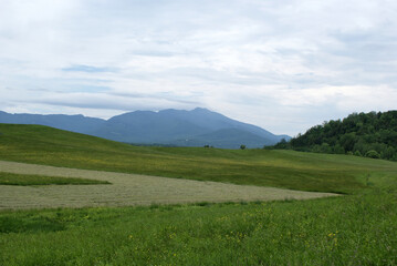 Mt. Mansfield in Vermont in June