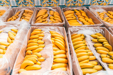 Cardboard boxes full of ripe yellow bananas.
