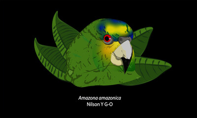 Ave tropical, Loro amazonico