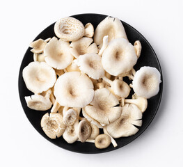 fresh whole mushrooms in a dish on white background