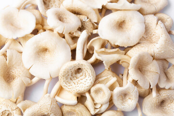 Background of fresh whole mushrooms, healthy food