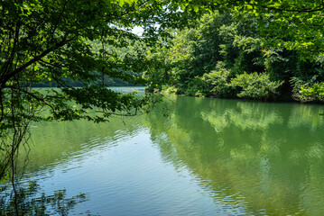beautiful green lake, saklıgöl lake, istanbul