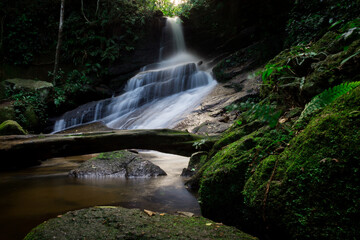Obraz premium waterfall in the forest